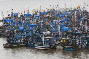 Moor Prints: Fishing boats moored by the village, Goa, India