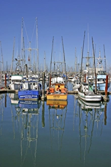 Images Dated 1st January 1980: Fishing boats at wharf at Charleston near Coos Bay Oregon
