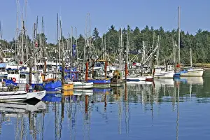 Images Dated 1980: Fishing boats at wharf at Charleston near Coos Bay Oregon