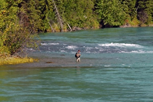 Images Dated 8th September 2012: Fishing in the Kenai River; Kenai Peninsula; Alaska; USA