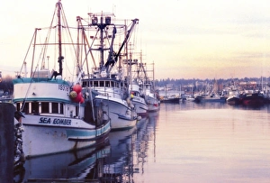 Images Dated 15th November 2007: Fishing trawler in harbor in Seattle, Washington