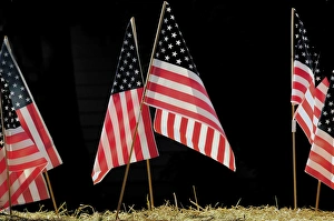 Festive Prints: Flags on Float, July 4th parade, Ridgefield, Washington, USA
