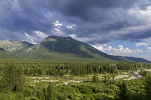 Images Dated 26th July 2012: The Flathead River near Fernie, British Columbia, Canada