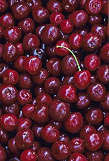 Images Dated 31st August 2006: Flathead Sweet Cherries from Montana