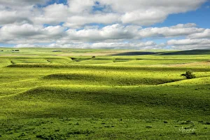 Images Dated 2nd September 2021: Flint Hills of Kansas