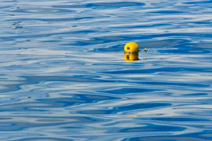 South Africa Prints: Floating buoy in the ocean, Van Dyks Bay. Western Cape Province, South Africa