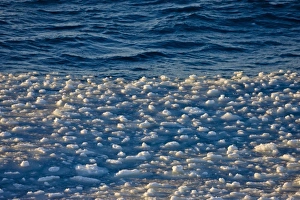 Images Dated 17th August 2011: Floating ice blocks pattern, Antarctica
