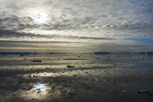 Antarctica Gallery: Floating ice on South Atlantic Ocean, Antarctica