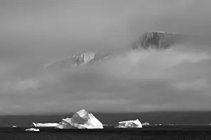 Greenland Collection: Floating iceberg in the ocean, Greenland