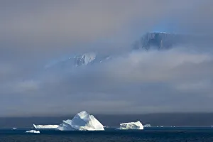 Greenland Prints: Floating iceberg in the ocean, Greenland