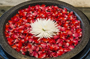 Emirate Prints: Floral display in the lobby of the Dusit Thanis Hotel Dubai, United Arab Emirates (UAE)