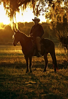 Mustang Prints: Florida cracker, Chuck Luzier on Cheyenne an adopted mustang in a Florida