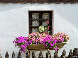 Settlement Prints: Flower arrangement. The Paloc village Holloko in Hungary
