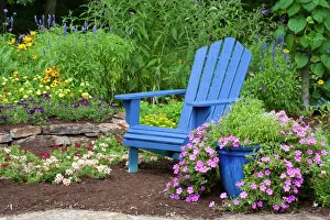 Path Prints: Flower garden with blue Adirondack chair, Butterfly Bushes, Peach & Purple Verbenas