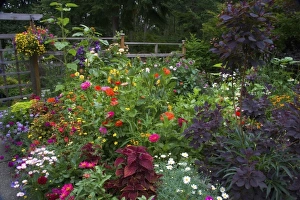 Images Dated 23rd July 2005: Flower Garden designs - Sammamish, Washington
