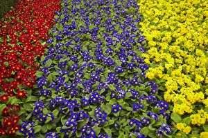 Images Dated 10th September 2011: Flower garden at Dunedin Railway Station, South Island, New Zealand