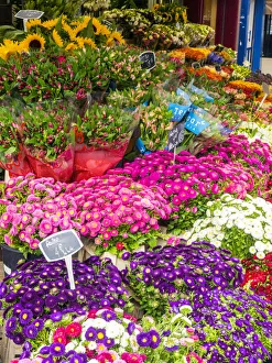Images Dated 8th September 2017: Flower market Rue Cler, Paris