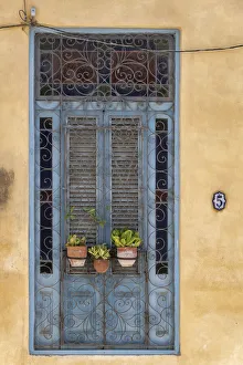 Prints of Three flower pots sit in wrought iron gate in front of blue door in Old Havana; La Habana Vieja, Cuba Caribbean Prints: Three flower pots sit in wrought iron gate in front of blue door in Old Havana