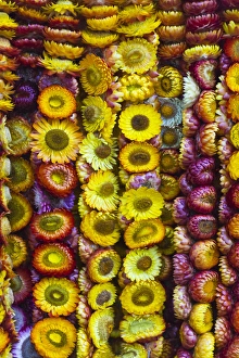 Wreath Prints: Flower wreaths, Baguio, Benguet Province, Philippines
