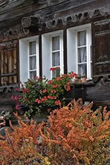 Flowerbox in cabin windows, Zermatt, Switzerland