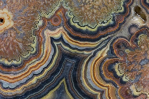 Cream Prints: Flowering tube onyx - Mexico