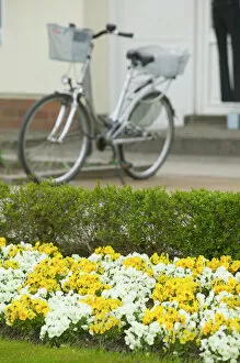 Images Dated 27th April 2005: flowers and bicycle