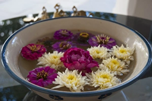 Flowers in a bowl of water, Rawal Jojawar Hotel, Jojawar, Rajasthan, India