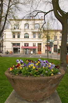 Images Dated 27th April 2005: flowers and building