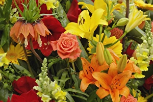 Flowers on float celebrating Queens Day, a celebration of the Queen Mother, Princess Juliana