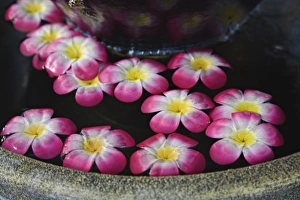 Images Dated 15th February 2006: Flowers floating in fountain, Bangkok, Thailand