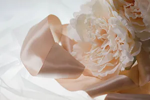 Images Dated 8th November 2022: Flowers and light