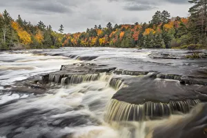 Images Dated 29th July 2020: Flowing tea colored water from tannins, Tahquamenon River, Tahquamenon Falls State Park