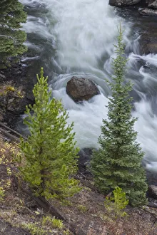 Firehole Canon Drive Prints: Flowing water in Firehole River, Yellowstone National Park, Wyoming
