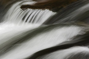 Images Dated 30th April 2005: Flowing water, Middle Prong of the Little Pigeon River, Great Smoky Mountains National Park