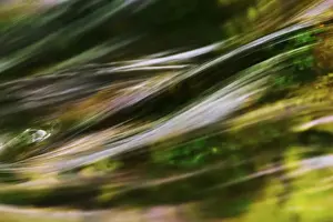 Falling Prints: Flowing Water and reflection Little Pigeon River Great Smoky Mountains N. P. TN