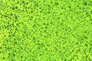 Contemporary Prints: Foamy texture