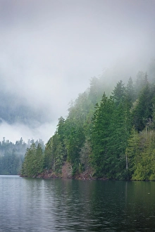 Fog over forest above Lake Crescent, Olympic National Park, Washington State, USA
