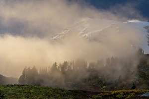 Images Dated 8th October 2023: Fog Rolling in near sunset in Mount Rainier National Park, Washington State, USA
