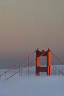 Images Dated 13th November 2007: Fog rolls through the San Francisco bay covering the Golden Gate Bridge. Pictured
