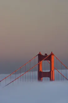 Images Dated 13th November 2007: Fog rolls through the San Francisco bay covering the Golden Gate Bridge. Pictured