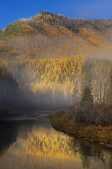 Foggy Prints: Foggy autumn sunrise light on McDonald Creek and Apgar Mountain in Glacier National Park