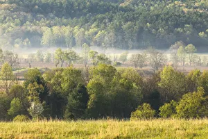 Foggy meadow at sunrise, Cades Cove, Smoky Mountains National Park, Tennessee