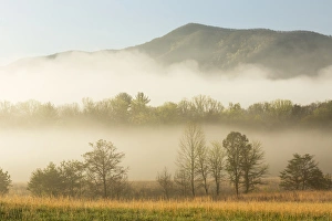 Images Dated 13th October 2017: Foggy morning, Cades Cove, Great Smoky Mountains National Park, Tennessee
