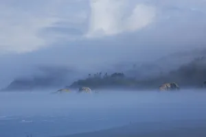 Seastack Prints: Foggy morning along the coastline, Cannon Beach, Oregon