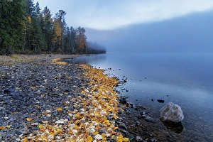 Foggy Prints: Foggy morning on Lake McDonald in Glacier National Park, Montana, USA