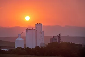Weather Prints: Foggy sunrise over grain elevator in tiny Kathryn, North Dakota, USA