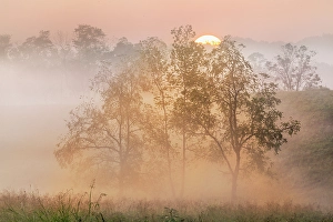 Images Dated 28th January 2024: Foggy sunrise, Oldham County, Kentucky