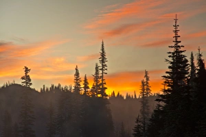 Backlit Prints: Foggy Sunrise; Reflection Lakes Area; Mount Rainier National Park; Washington; USA