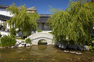 Images Dated 19th December 2011: Footbridge, Chinese Gardens, Dunedin, Otago, South Island, New Zealand