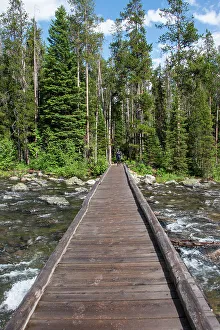 Foot Bridge Prints: Footbridge over String Lake, Grand Tetons National Park